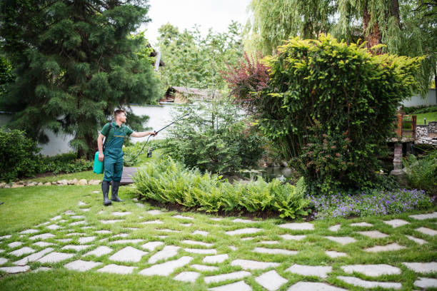Best Lawn Grading and Leveling  in Springdale, SC